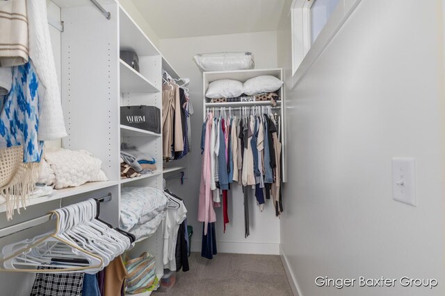 5560 Albright Ave SW Unit 67, Wyoming, MI 49418 - walk in closet featuring carpet floors