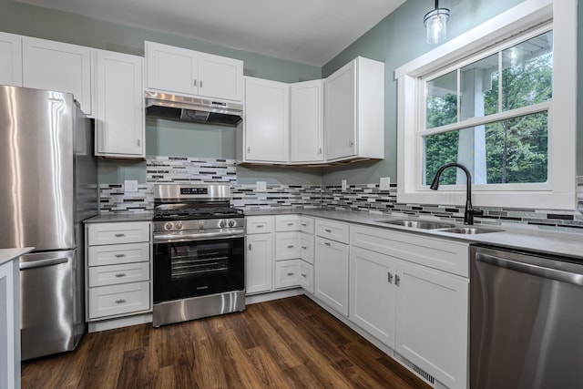 3935 W Destiny Dr, Hart, MI 49420 - kitchen with tasteful backsplash, under cabinet range hood, dark wood finished floors, stainless steel appliances, and a sink