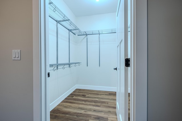 3935 W Destiny Dr, Hart, MI 49420 - spacious closet featuring dark wood-style flooring