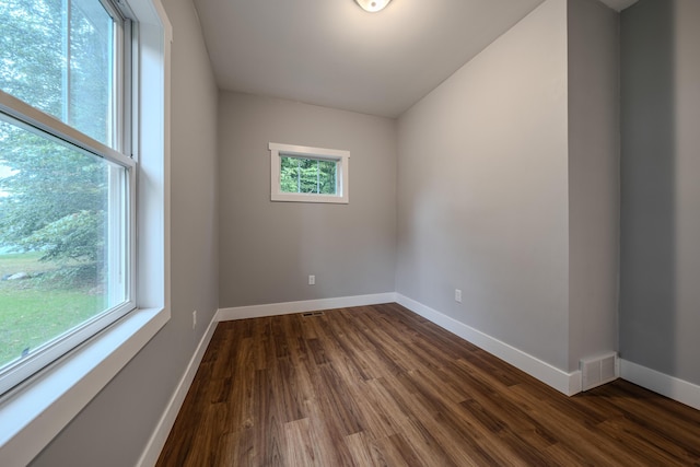 3935 W Destiny Dr, Hart, MI 49420 - empty room featuring a wealth of natural light, baseboards, and dark wood-style flooring