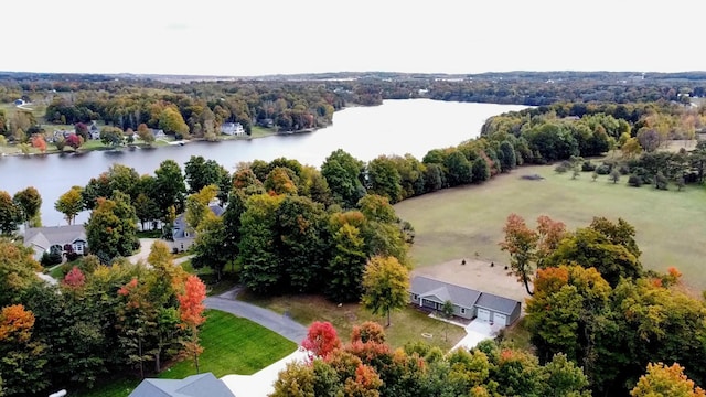 3935 W Destiny Dr, Hart, MI 49420 - bird's eye view with a water view and a view of trees