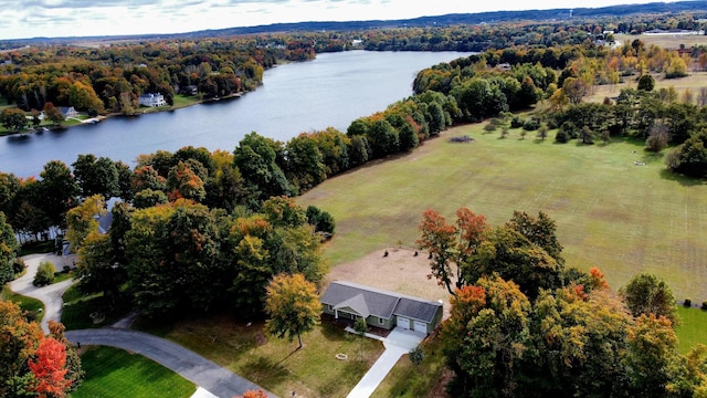 3935 W Destiny Dr, Hart, MI 49420 - drone / aerial view with a water view and a view of trees