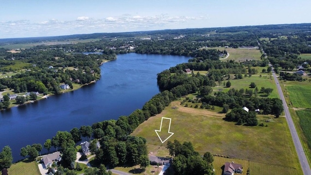 3935 W Destiny Dr, Hart, MI 49420 - drone / aerial view with a water view