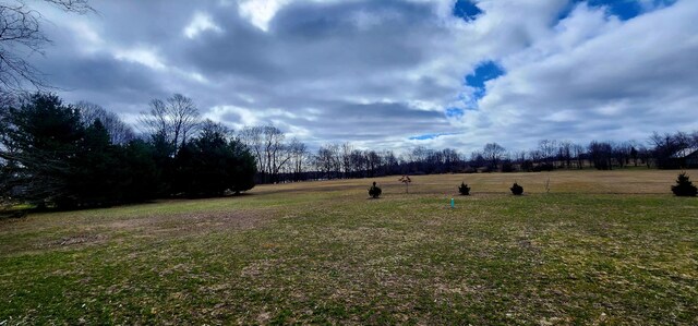 3935 W Destiny Dr, Hart, MI 49420 - view of yard