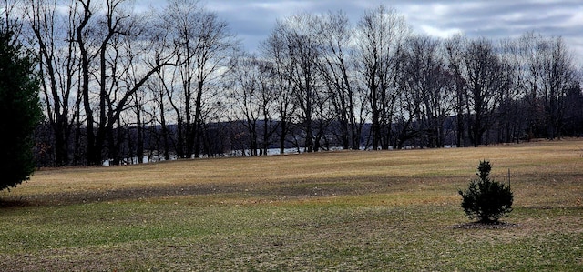 3935 W Destiny Dr, Hart, MI 49420 - view of yard