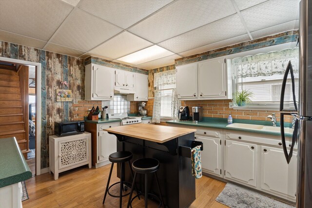 1169 Shady Shores Dr, Niles, MI 49120 - kitchen with a paneled ceiling, light wood-style floors, and white cabinets