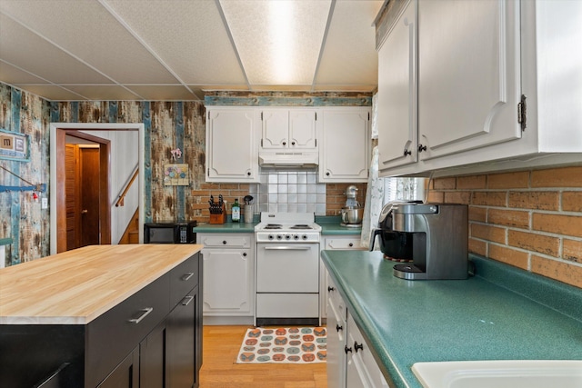 1169 Shady Shores Dr, Niles, MI 49120 - kitchen with white cabinets, white electric range, under cabinet range hood, and black microwave