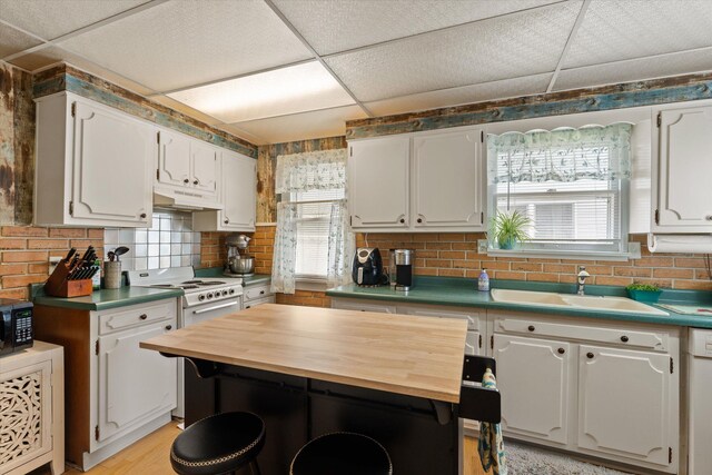 1169 Shady Shores Dr, Niles, MI 49120 - kitchen featuring under cabinet range hood, a drop ceiling, white appliances, white cabinetry, and a sink