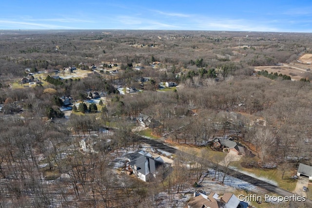 7834 Strawberry Ln NE, Belmont, MI 49306 - birds eye view of property