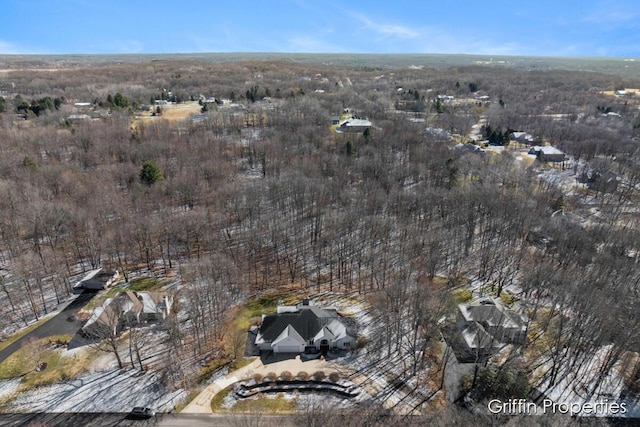 7834 Strawberry Ln NE, Belmont, MI 49306 - bird's eye view