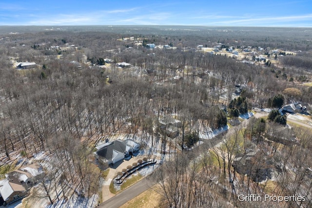 7834 Strawberry Ln NE, Belmont, MI 49306 - aerial view