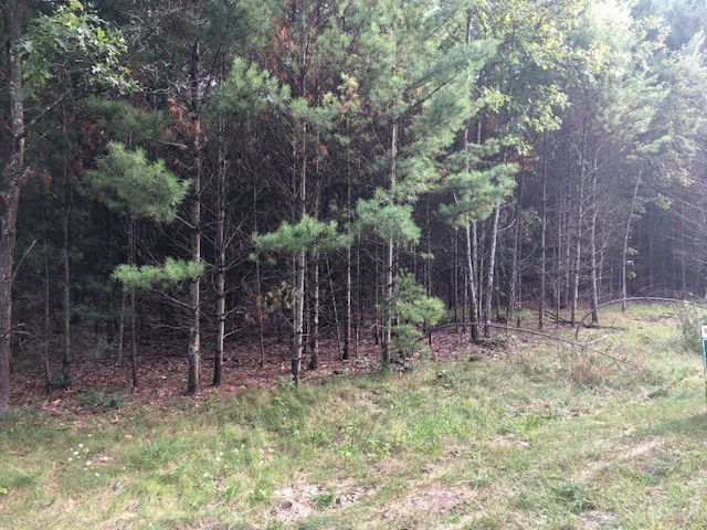 0 Crystal Lake Rd Lot 2, Whitehall, MI 49461