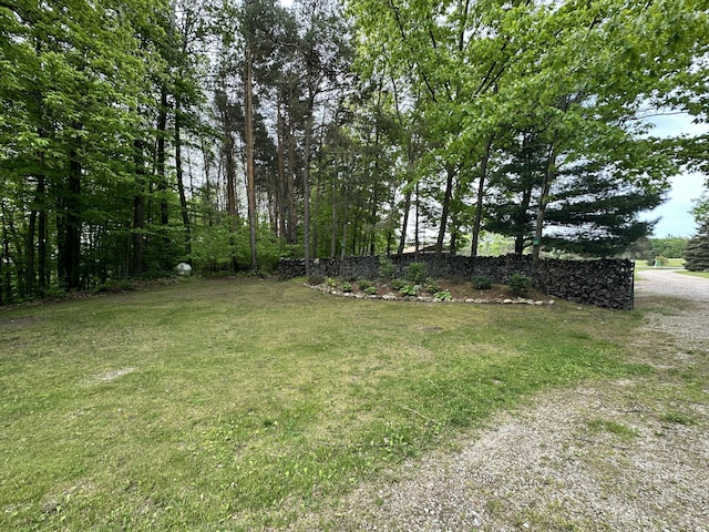 8440 S Felch Ave, Newaygo, MI 49337 - view of green lawn