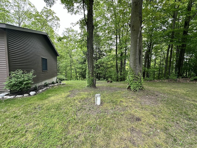 8440 S Felch Ave, Newaygo, MI 49337 - view of green lawn