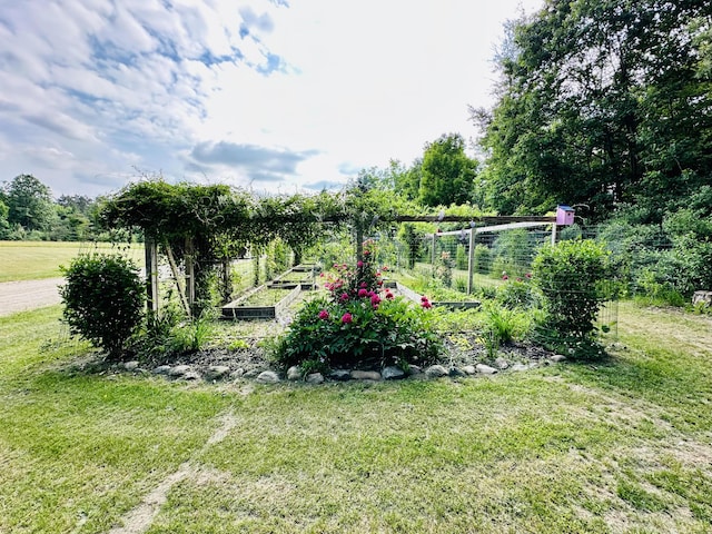 8440 S Felch Ave, Newaygo, MI 49337 - view of grassy yard featuring a garden