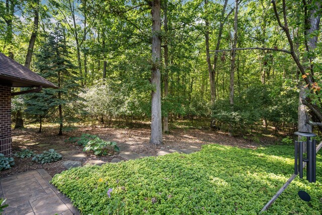 4923 Hickory Hill Rd, Ann Arbor, MI 48105 - view of yard featuring a forest view