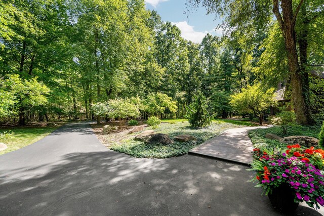 4923 Hickory Hill Rd, Ann Arbor, MI 48105 - view of road
