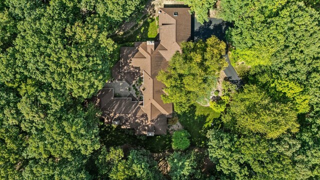 4923 Hickory Hill Rd, Ann Arbor, MI 48105 - bird's eye view