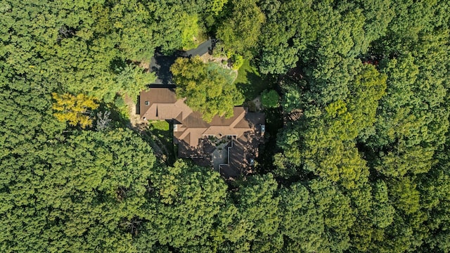 4923 Hickory Hill Rd, Ann Arbor, MI 48105 - birds eye view of property with a forest view
