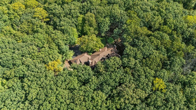 4923 Hickory Hill Rd, Ann Arbor, MI 48105 - birds eye view of property with a wooded view