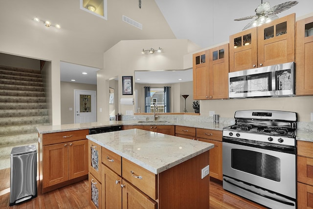 kitchen featuring a sink, stainless steel appliances, wood finished floors, and a center island