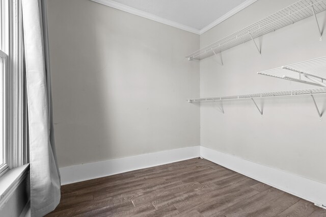 816 7th St, Three Rivers, MI 49093 - walk in closet with dark wood finished floors