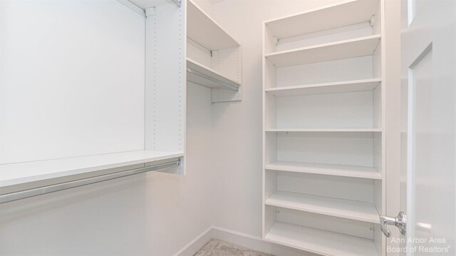 1303 Gallery Pointe Dr, Saline, MI 48176 - view of walk in closet