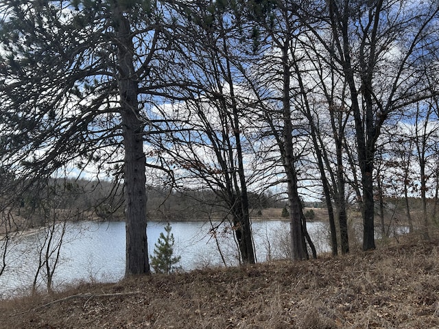 12305 Summerhill Dr # 9, Canadian Lakes, MI 49346