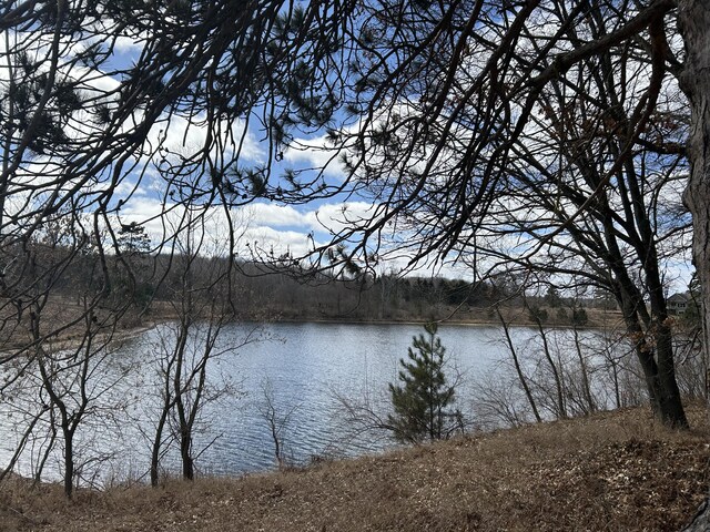 12305 Summerhill Dr # 9, Canadian Lakes, MI 49346