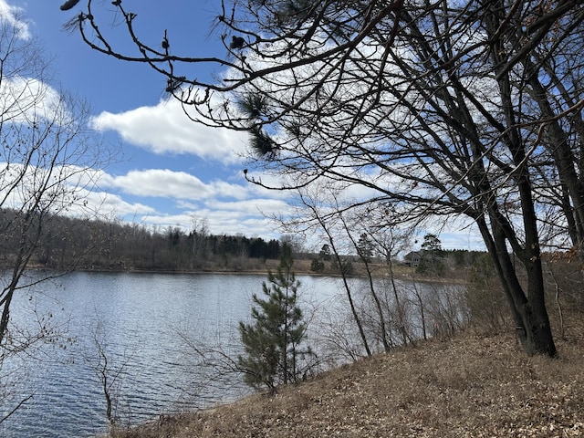12305 Summerhill Dr # 9, Canadian Lakes, MI 49346