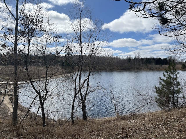 12305 Summerhill Dr # 9, Canadian Lakes, MI 49346
