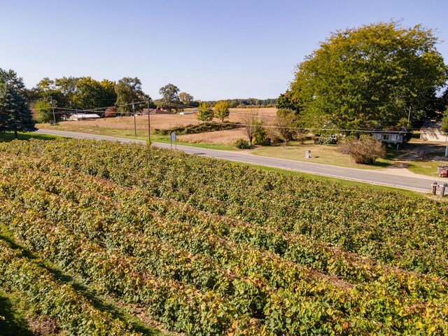 5844 S Scottdale Rd, Berrien Springs, MI 49103 - view of yard with a rural view