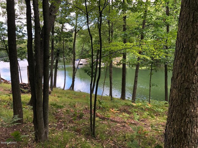 8670 N Island Dr Lot 32And 33, Canadian Lakes, MI 49346 - photo 47