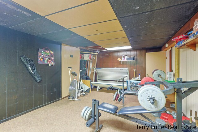 exercise area featuring wood walls and carpet floors