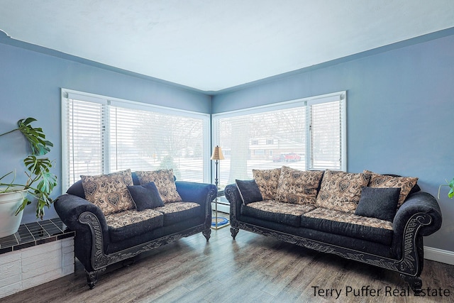 living area featuring a baseboard heating unit, wood finished floors, and a healthy amount of sunlight