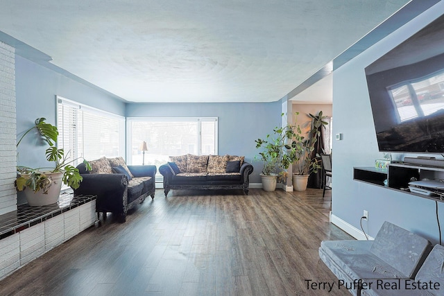 living room featuring a baseboard heating unit, wood finished floors, and baseboards