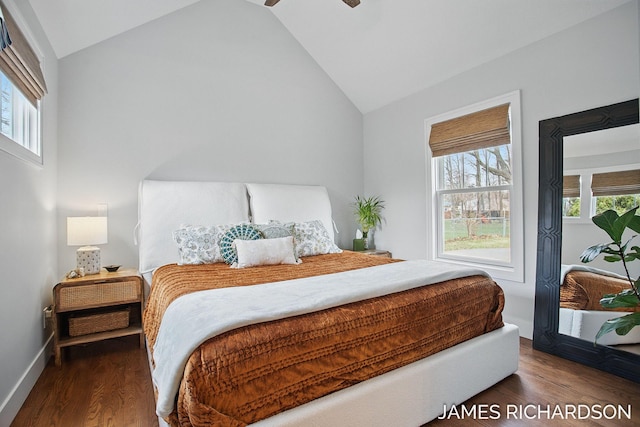 bedroom with vaulted ceiling, wood finished floors, and multiple windows