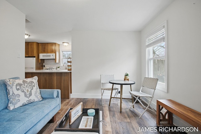 living area with baseboards and dark wood-style floors