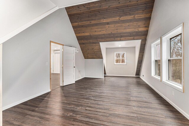 62711 Balk Rd, Sturgis, MI 49091 - additional living space featuring lofted ceiling, baseboards, and dark wood finished floors