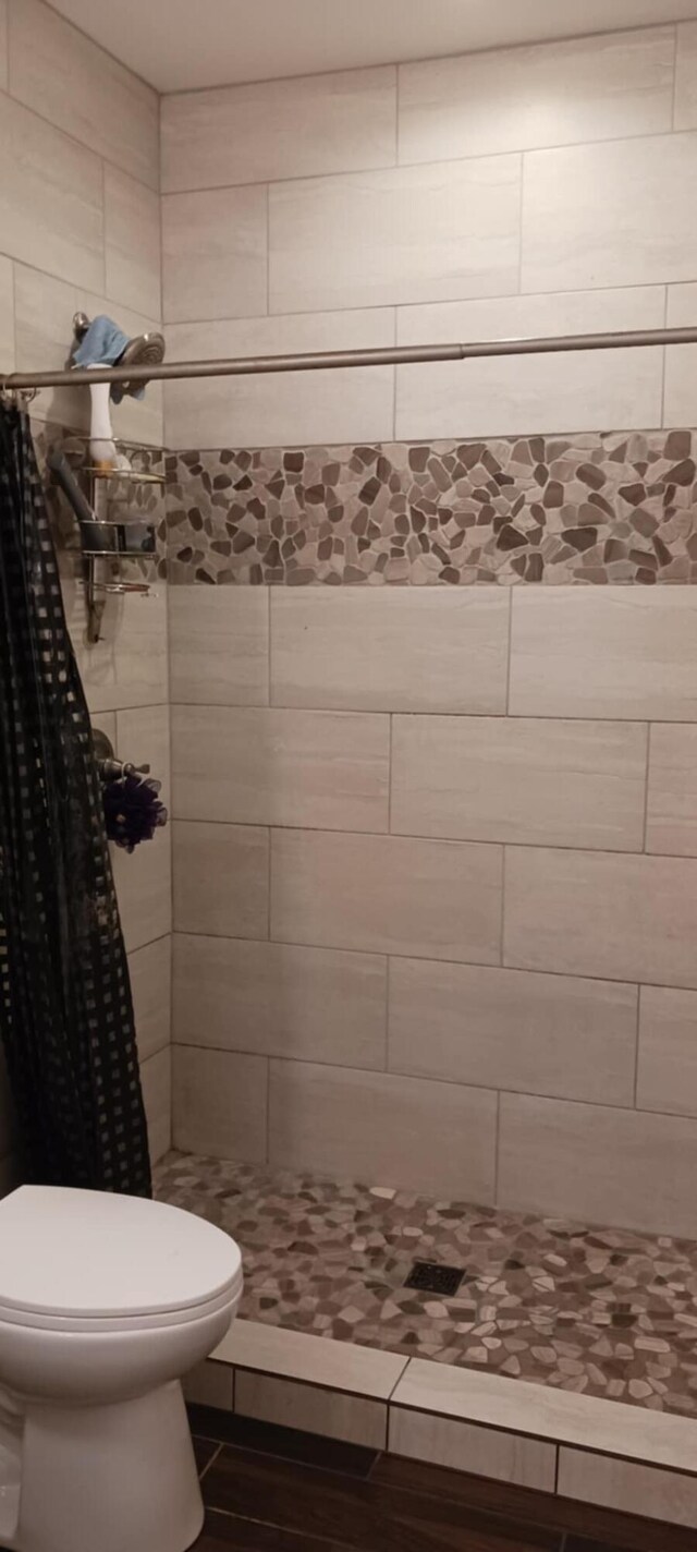 62711 Balk Rd, Sturgis, MI 49091 - bathroom with a shower stall, toilet, and wood finished floors