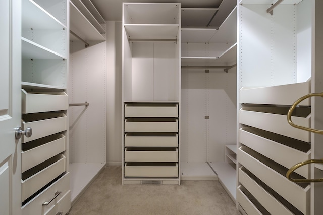 spacious closet with light colored carpet