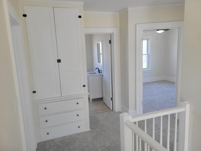 336 N Riverview Dr, Parchment, MI 49004 - photo 10