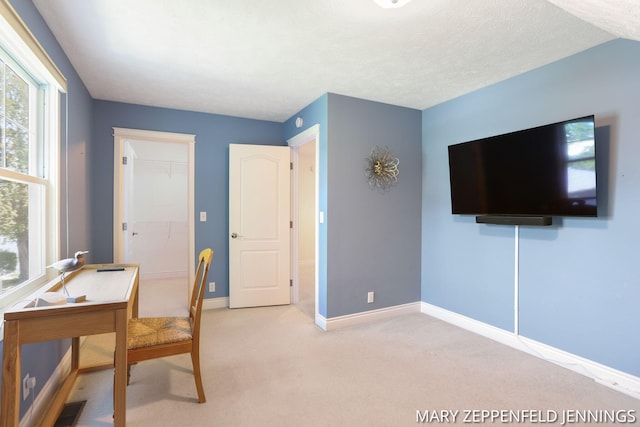 15104 Willowwood Ct, Grand Haven, MI 49417 - photo 44
