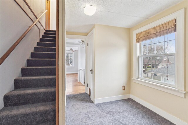 staircase with a ceiling fan, carpet, a healthy amount of sunlight, and a textured ceiling