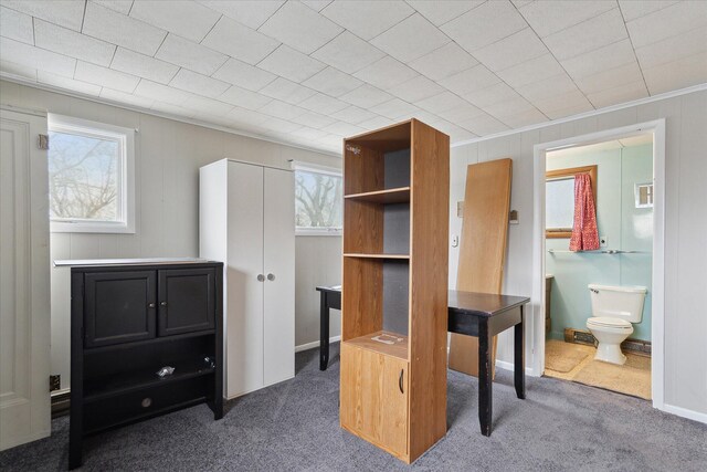 office area featuring plenty of natural light, baseboards, and carpet floors