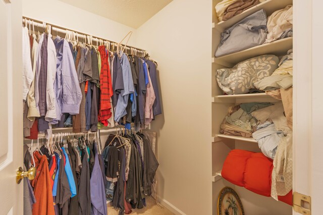 1998 Brighton Ln, Portage, MI 49024 - spacious closet with carpet