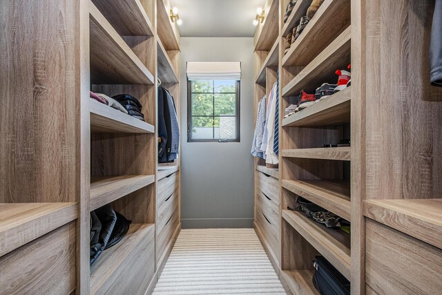 557 Greenwood Ave SE, East Grand Rapids, MI 49506 - view of spacious closet