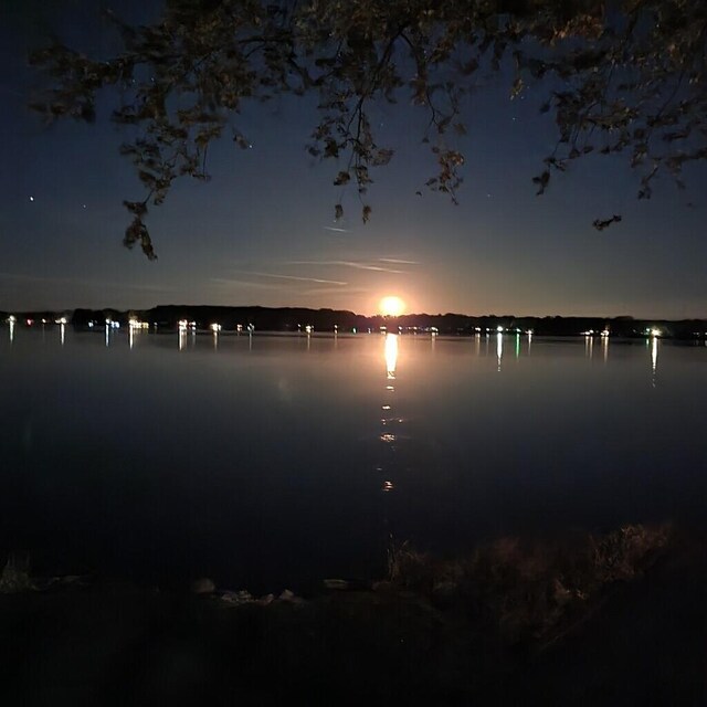101 Lakeside Dr, Quincy, MI 49082 - water view with fence
