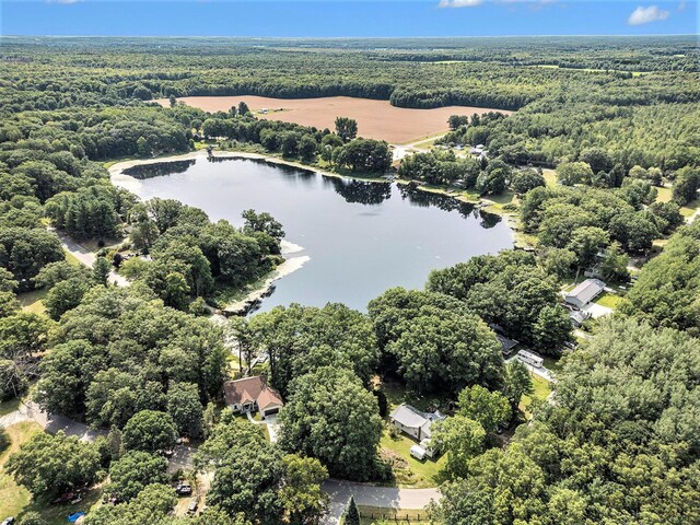 5091 E High Tower Lake Rd, Hesperia, MI 49421 - birds eye view of property featuring a water view and a wooded view