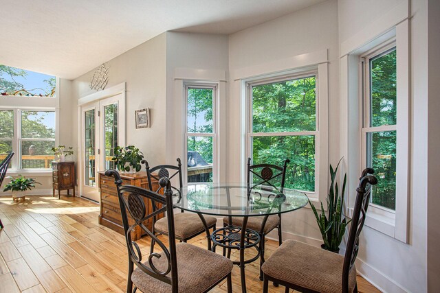 5091 E High Tower Lake Rd, Hesperia, MI 49421 - dining area with plenty of natural light, baseboards, and light wood-style floors